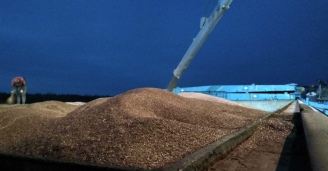 Фото Тяжело в учении — легко в бою! №4